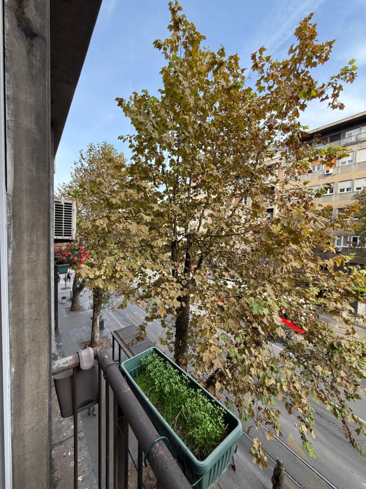Apartment, Stari Grad, Belgrad Zewnętrze zdjęcie